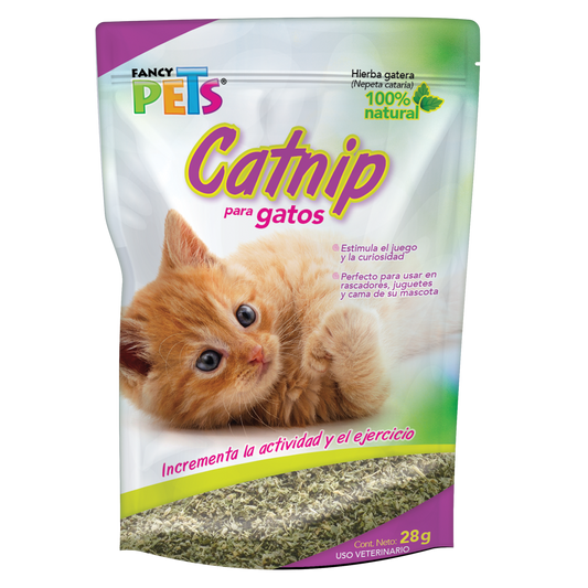 Catnip