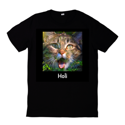 Holi